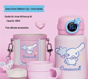 Smart Temperature Display Insulated Straw Cup — Smart Water Bottle, JDST online