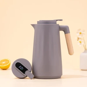Insulated Glass Kettle — Electric Kettle, JDST