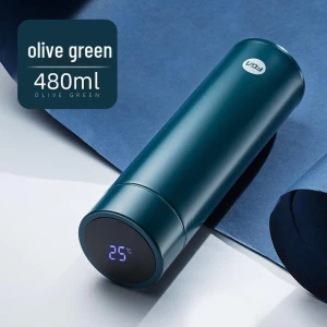 Stainless Steel Smart Temperature Display Insulated Water Bottle — Smart Water Bottle, Fuguang