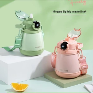 Smart Temperature Display Insulated Bottle — Smart Water Bottle, Fuguang