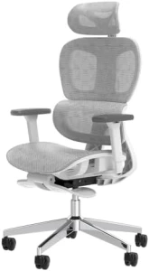 Ergonomic Office Chair with Adjustable Lumbar Support and Seat Depth — Smart Chairs, PatioMage