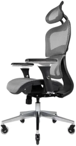 Ergonomic Office Chair with Lumbar Support, Adjustable Armrests, Headrest, and Wheels — Smart Chairs, Nouhaus