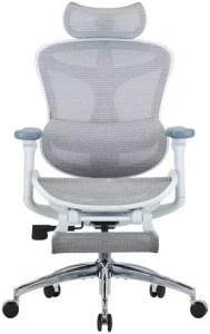 Ergonomic Office Chair with Ultra Soft 3D Armrests and Dynamic Lumbar Support — Smart Chairs, SIHOO