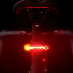 USB Rechargeable Tail Light with Wireless Remote — Smart Bike Light