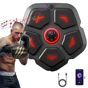 Smart Electronic Boxing Machine Rhythm Musical Target — Smart Boxing Trainer, KALOAD