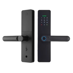 Smart WiFi Fingerprint Door Lock with Built-in Camera — Wireless Earbuds, WAFU