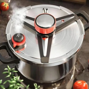 Stainless Steel Pressure Cooker — Multicooker, ZILODE