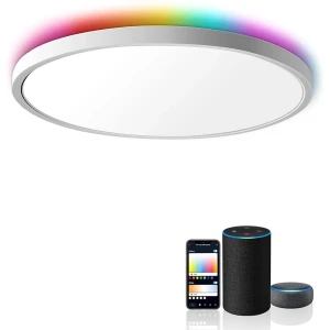 Smart LED Ceiling Light — Smart Light Bulb