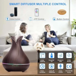 Wireless Essential Oil Aromatherapy Diffuser — Essential Oil Diffuser, Ebooine