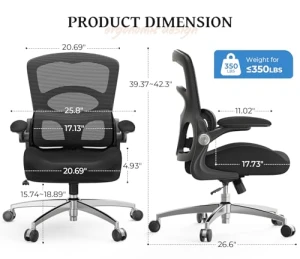 Ergonomic Office Chair with Adjustable Lumbar Support — Smart Chairs, FAMIDOLE