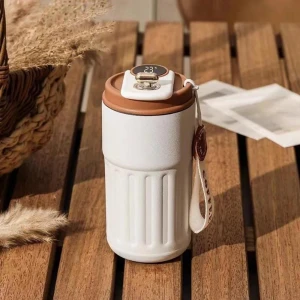 LED Smart Display Vacuum Cup — Smart Water Bottle, DHDH