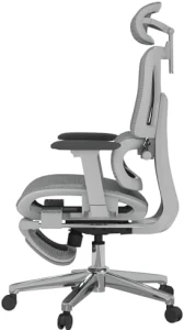 Premium Ergonomic Office Chair with Footrest — Smart Chairs, FLEXISPOT