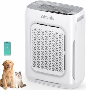 Air Purifier for Large Rooms — Air Purifier, Dhyala