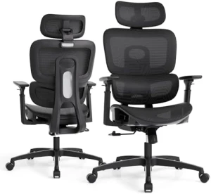 Ergonomic Office Chair with Adjustable Headrest, 3D Armrests, and Lumbar Support — Smart Chairs, Magshion