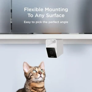Indoor Wi-Fi Pet and Security Camera — Security Camera, Petcube