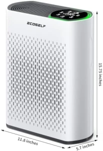 Large Room Air Purifier with True HEPA and Air Quality Display — Air Purifier, ECOSELF