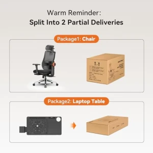 Ergonomic Office Chair with Footrest, Auto-Following Lumbar Support, High Back Desk Chair with 4D Armrest, 136° Tilt... — Smart Chairs, NEWTRAL