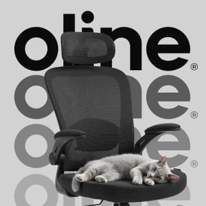 Ergonomic Office Chair — Smart Chairs, Oline