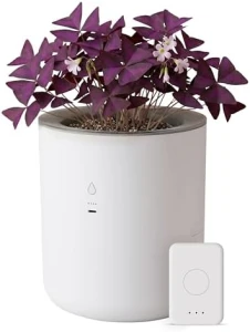 Smart Self Watering Planter with WiFi Bridge & App Control — Indoor Garden, LeafyPod