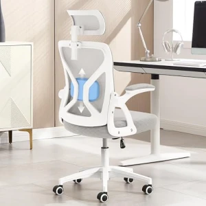 Ergonomic Desk Chair with Adjustable Lumbar Support — Smart Chairs, Nexthro
