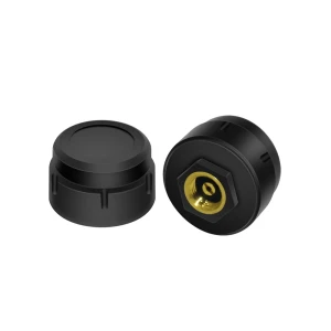Tire Pressure Monitor — TPMS
