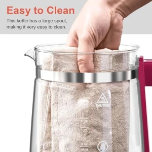 Electric Kettle with Temperature Control — Electric Kettle, ICOOKPOT