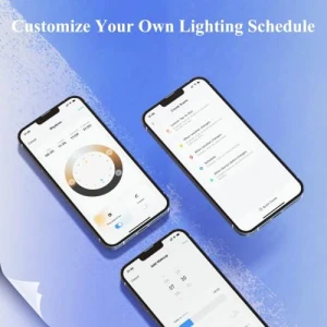 Smart Edison Bulb G80, Color Changing WiFi Smart Light Bulb — Smart Light Bulb, DiCUNO