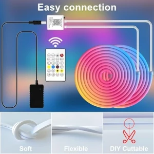 RGB Neon LED Rope Lights — LED Strip Lights, Cozylady