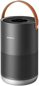 Air Purifiers for Home with Handle — Air Purifier, Smartmi