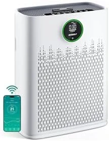 Smart Air Purifier for Home Large Rooms — Air Purifier, ECOSELF