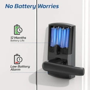 Keypad Smart Door Lock with Handle — Smart Lock, Nyboer