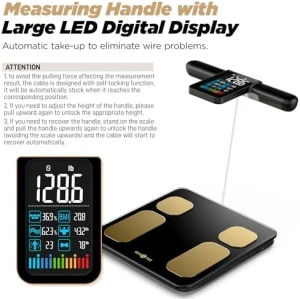 8-Electrode Scale for Body Weight — Smart Scale, runstar