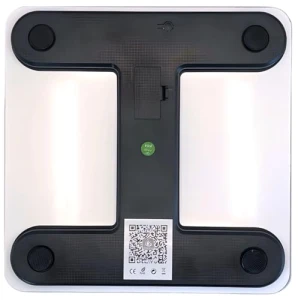 Smart Scale with BMI & Body Fat Monitor — Smart Scale, Body Basics