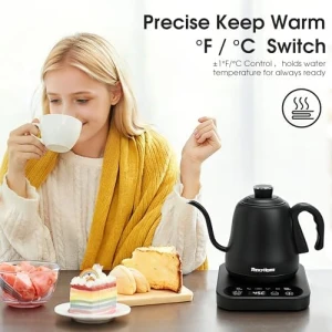 Gooseneck Electric Kettle with ±1°F Temperature Control — Electric Kettle, Visit the REXYHOME Store