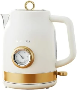 Retro Electric Kettle with Temperature Gauge — Electric Kettle, QUAXWELL