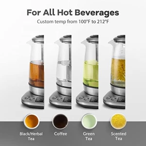 Electric Tea Kettle with Temperature Control and Infuser — Electric Kettle, Mecity