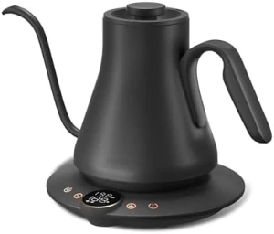 Gooseneck Electric Kettle — Electric Kettle, INTASTING