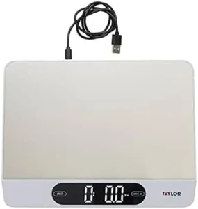 High Capacity Kitchen Food Scale with Stainless Steel Surface — Kitchen Gadgets, Taylor