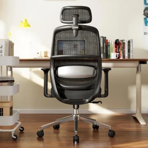 Ergonomic High Back Desk Chair — Smart Chairs, QuelSoft
