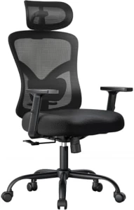 Ergonomic Office Chair with Padded Lumbar Support — Smart Chairs, NOBLEWELL