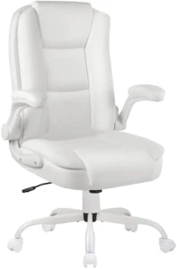 Leather Office Desk Chair — Smart Chairs, OFIKA
