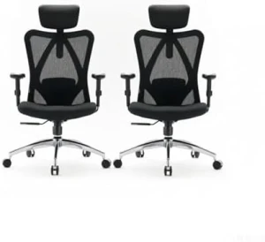Office Chair Ergonomic Desk Chair, Breathable Mesh Design High Back Computer Chair, Adjustable Headrest and Lumbar... — Smart Chairs, SIHOO