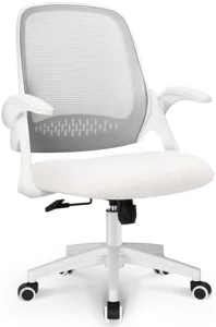 Office Desk Gaming Ergonomic Computer Chair with Lumbar Back Support — Smart Chairs, NEO CHAIR