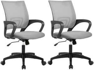 Home Office Desk Chair — Smart Chairs, PayLessHere