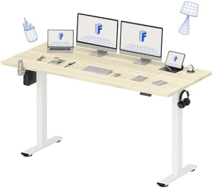 63x32 Inch Electric Large Standing Desk — Standing Desk, FLEXISPOT