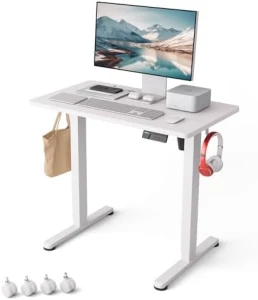 Large Standing Desk with Dual Monitor Setup — Standing Desk, Monomi