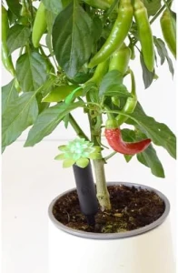 Tall Plant Alarm — Soil Moisture Sensor, Wicked Waterer