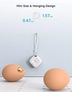Bluetooth Hygrometer Thermometer — Smart Thermometer, Govee