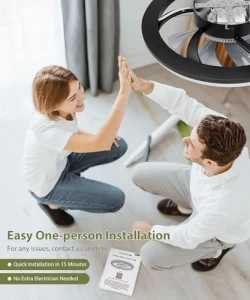 2 in 1 WiFi RGB-LED Ceiling Fan with Lights and Remote — Smart Fan, Vookea