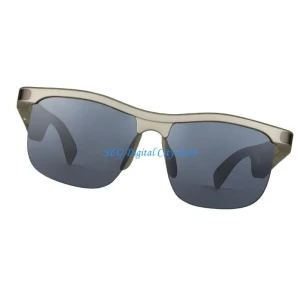 Intelligent Glasses with Two-Way Language Translation — Translator Device, Intelligence